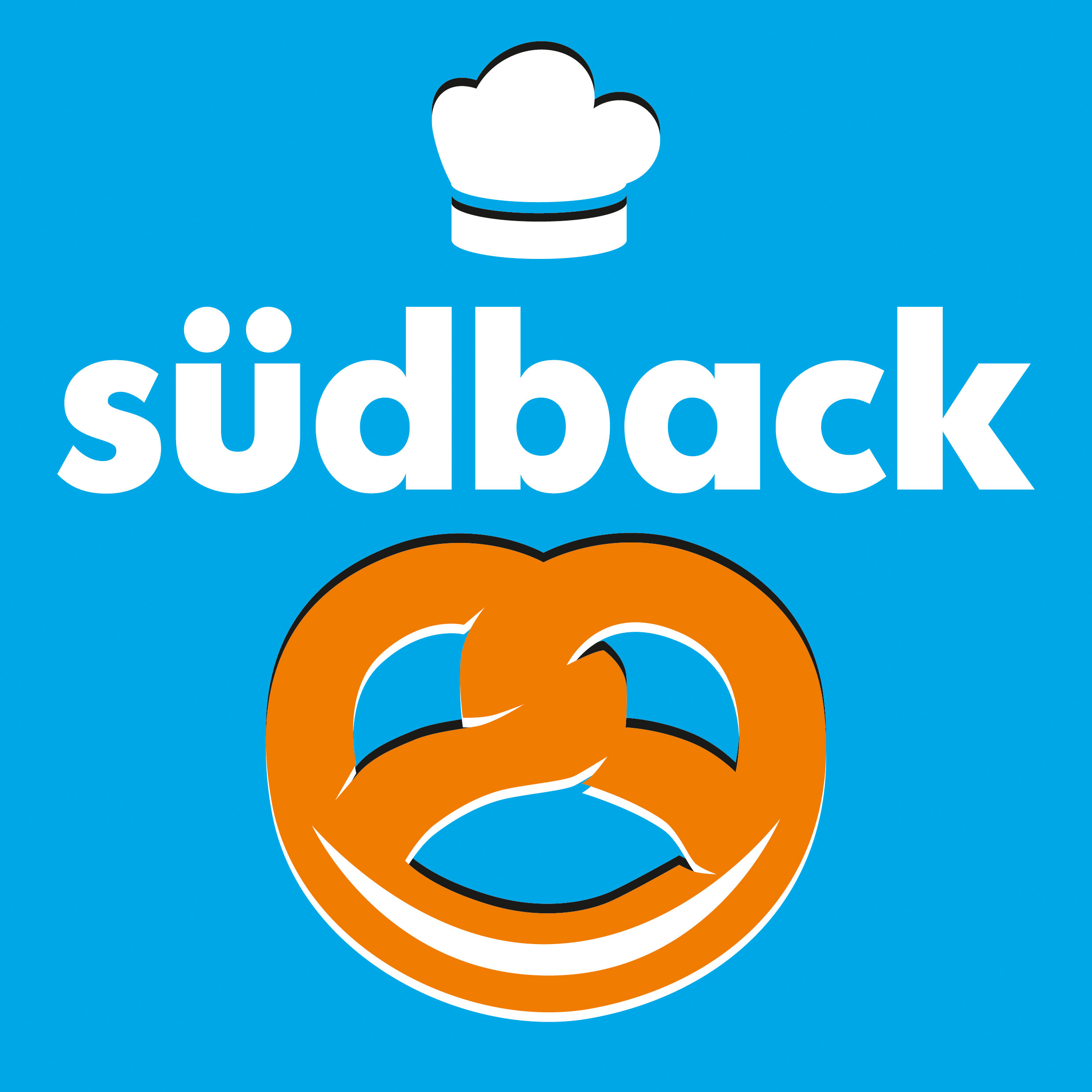 Suedback Logo gross